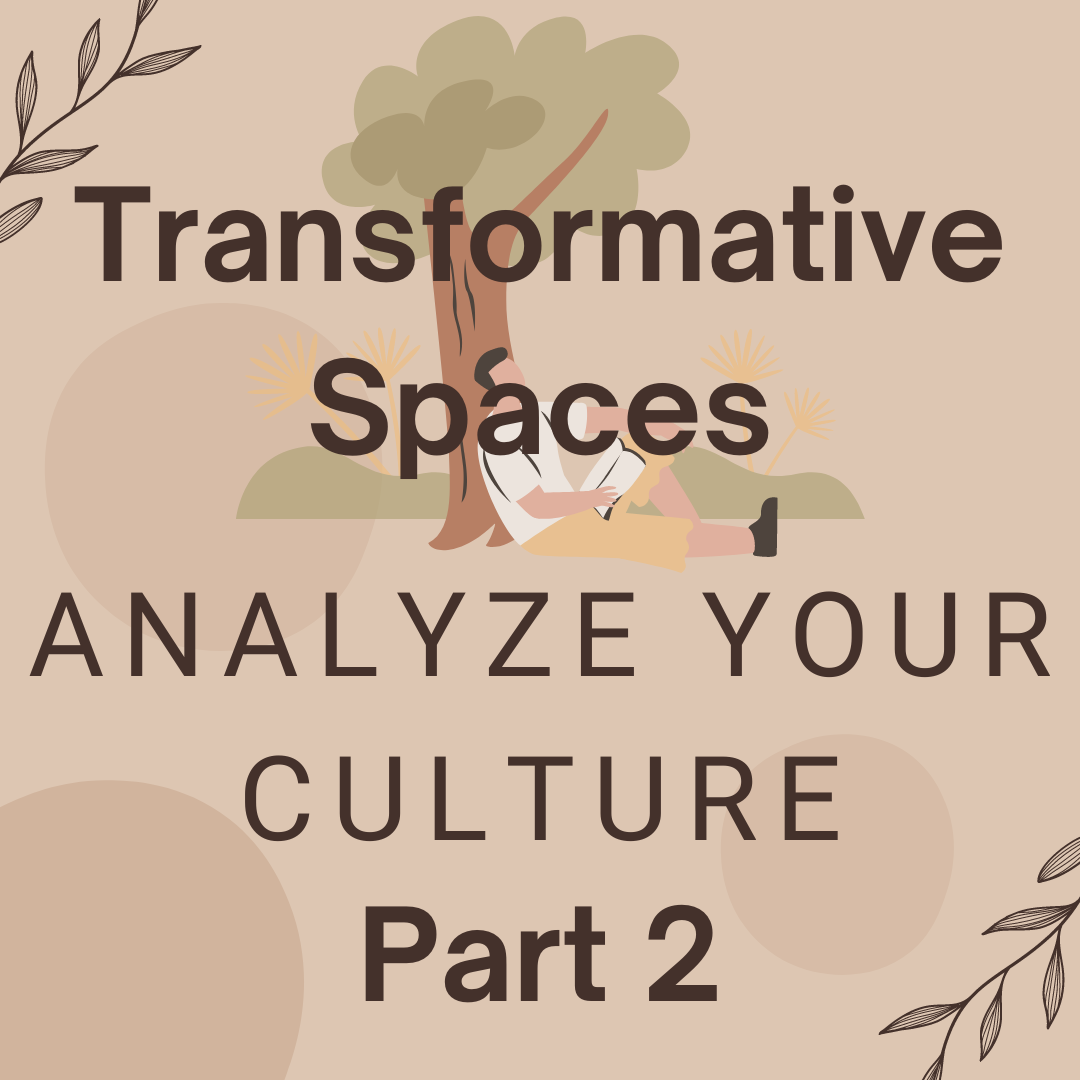 Transformative Spaces Part 2 – Analyze Your Culture: Deepening Understanding and Connection