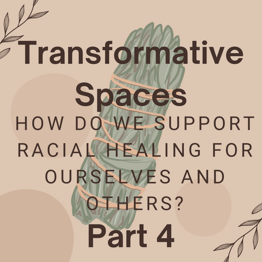 Transformative Spaces Part 4 – Racial Healing Through the Racial Identity Development Chart