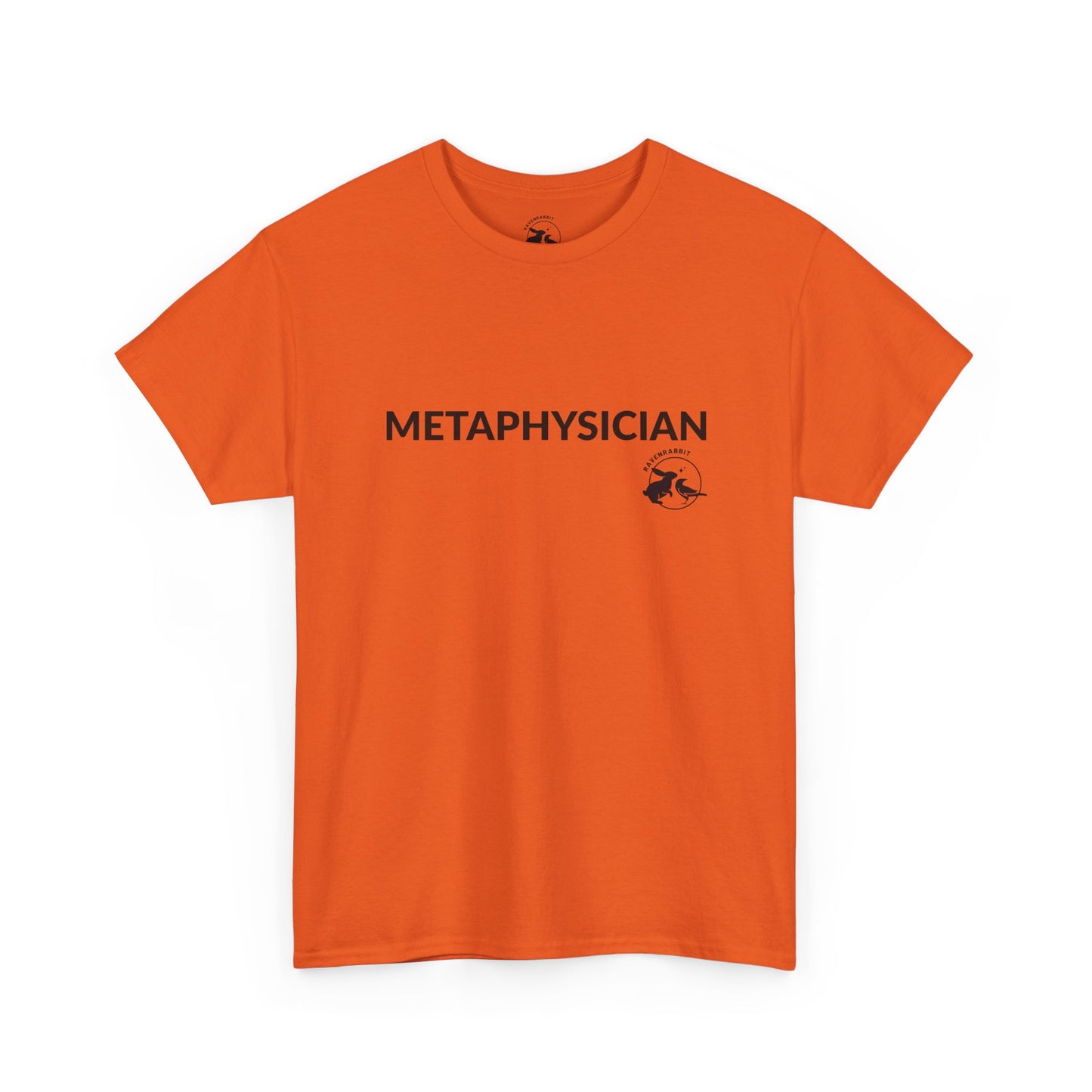 Metaphysician Tee – The Thinker’s Path to Conscious Awareness