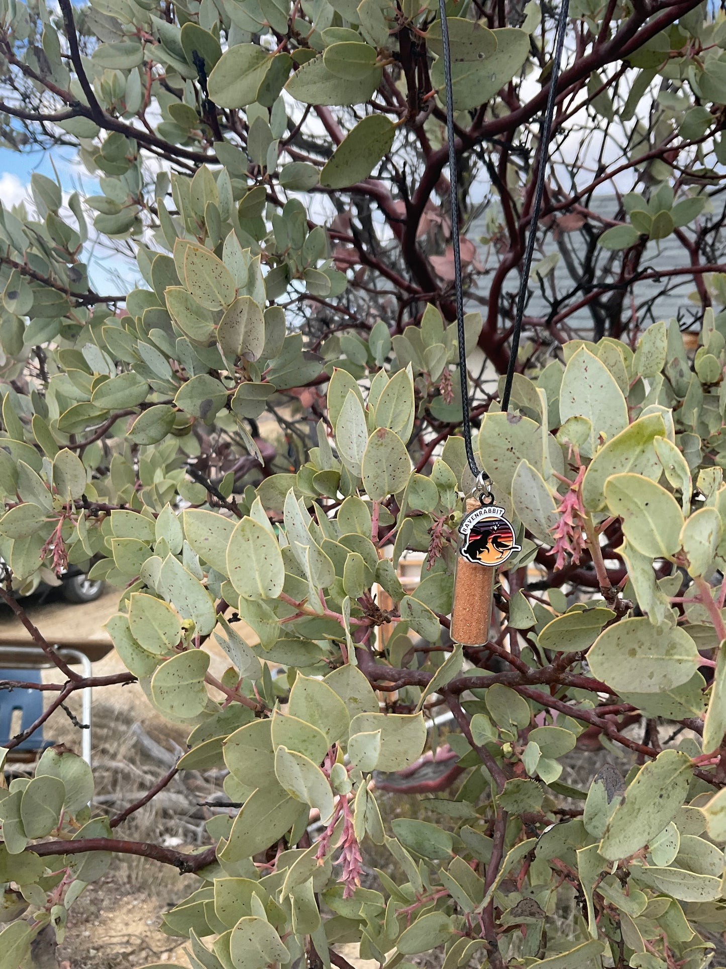 Red Sand Power Necklace