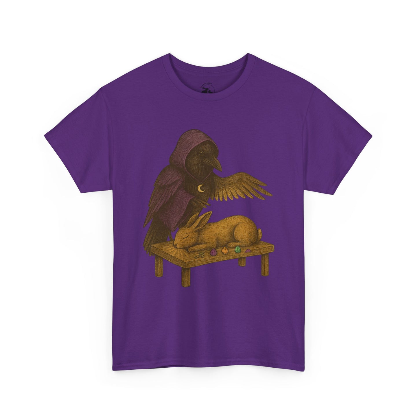 The Raven Reiki Master Tee – Healer of Light and Spirit