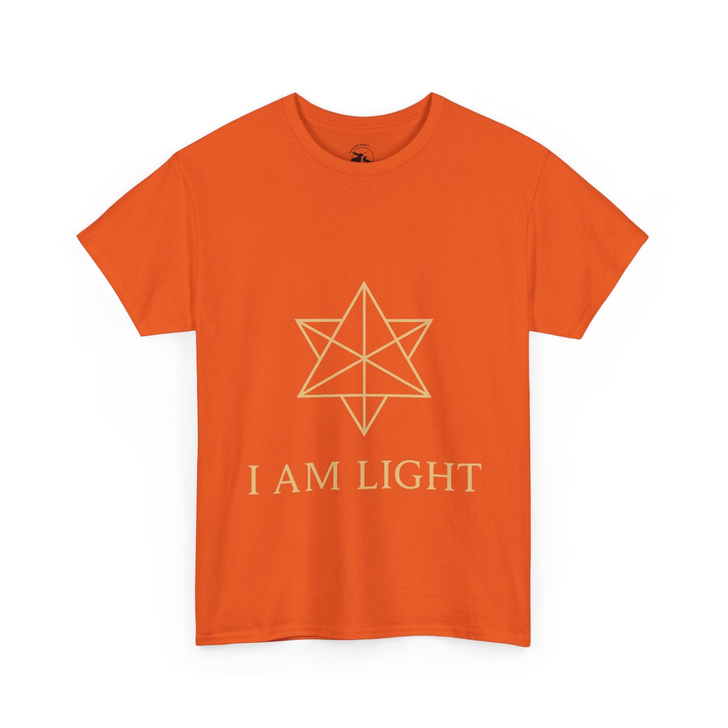 I Am Light Tee – Spiritual Affirmation Graphic Shirt for Christmas Gift
