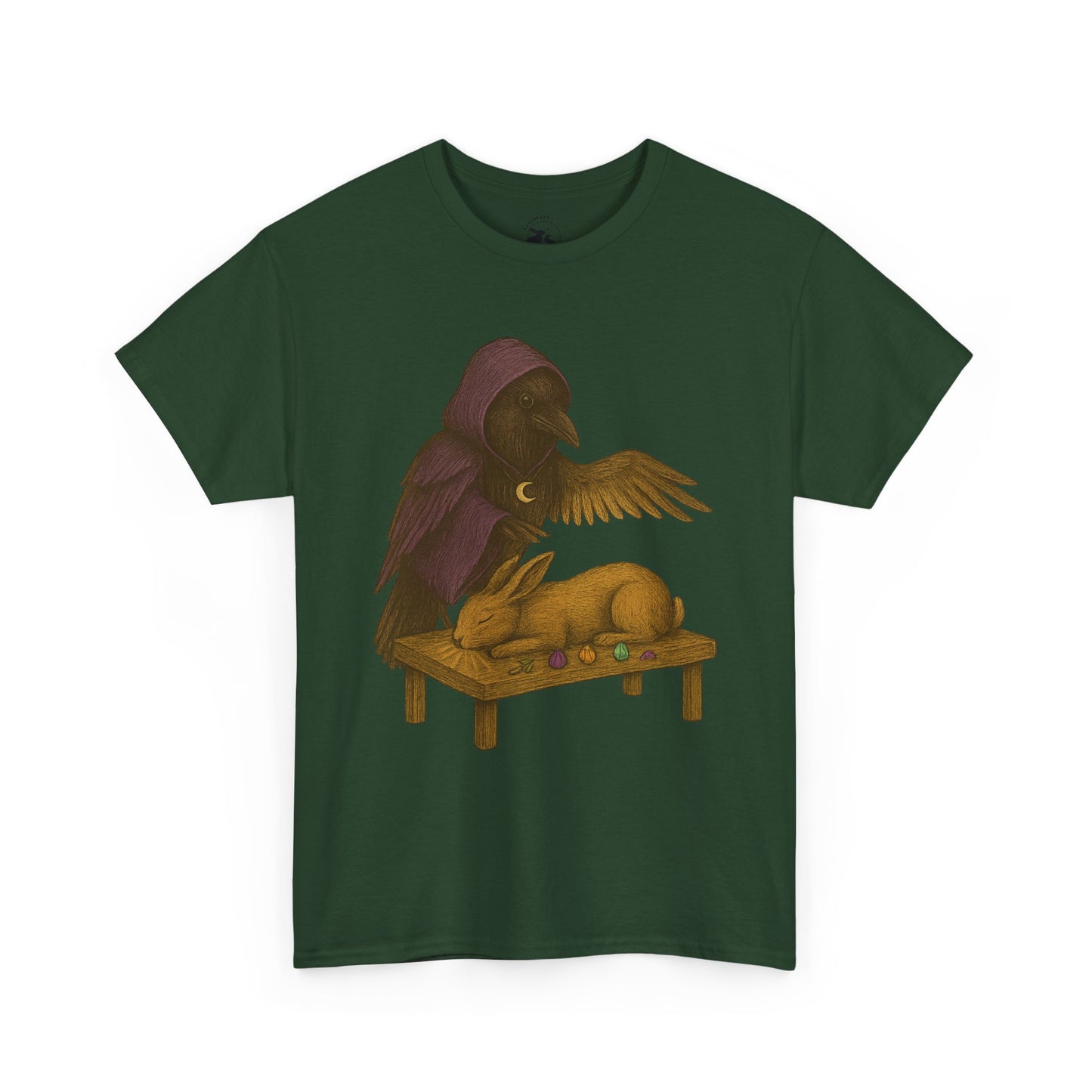 The Raven Reiki Master Tee – Healer of Light and Spirit