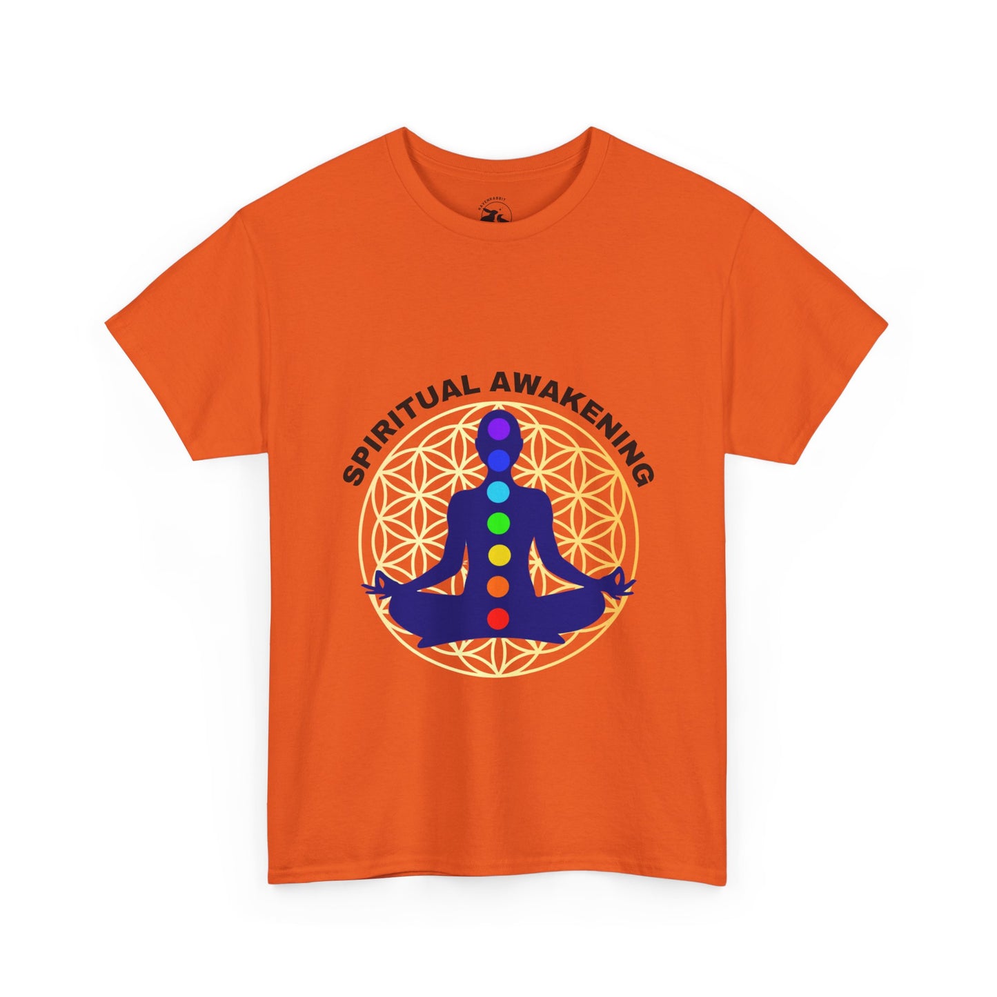 Spiritual Awakening Tee – The Alignment of Light and Consciousness