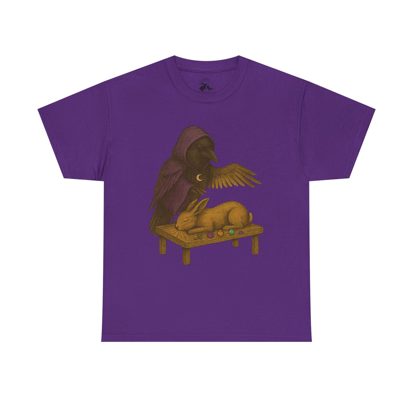 The Raven Reiki Master Tee – Healer of Light and Spirit