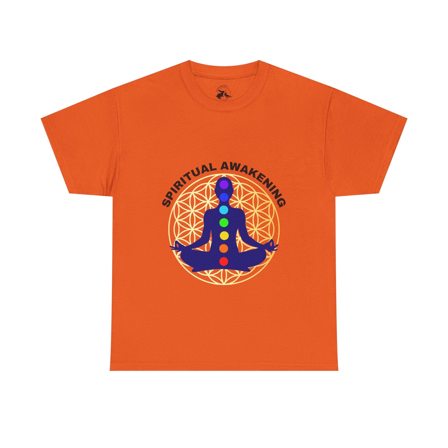 Spiritual Awakening Tee – The Alignment of Light and Consciousness