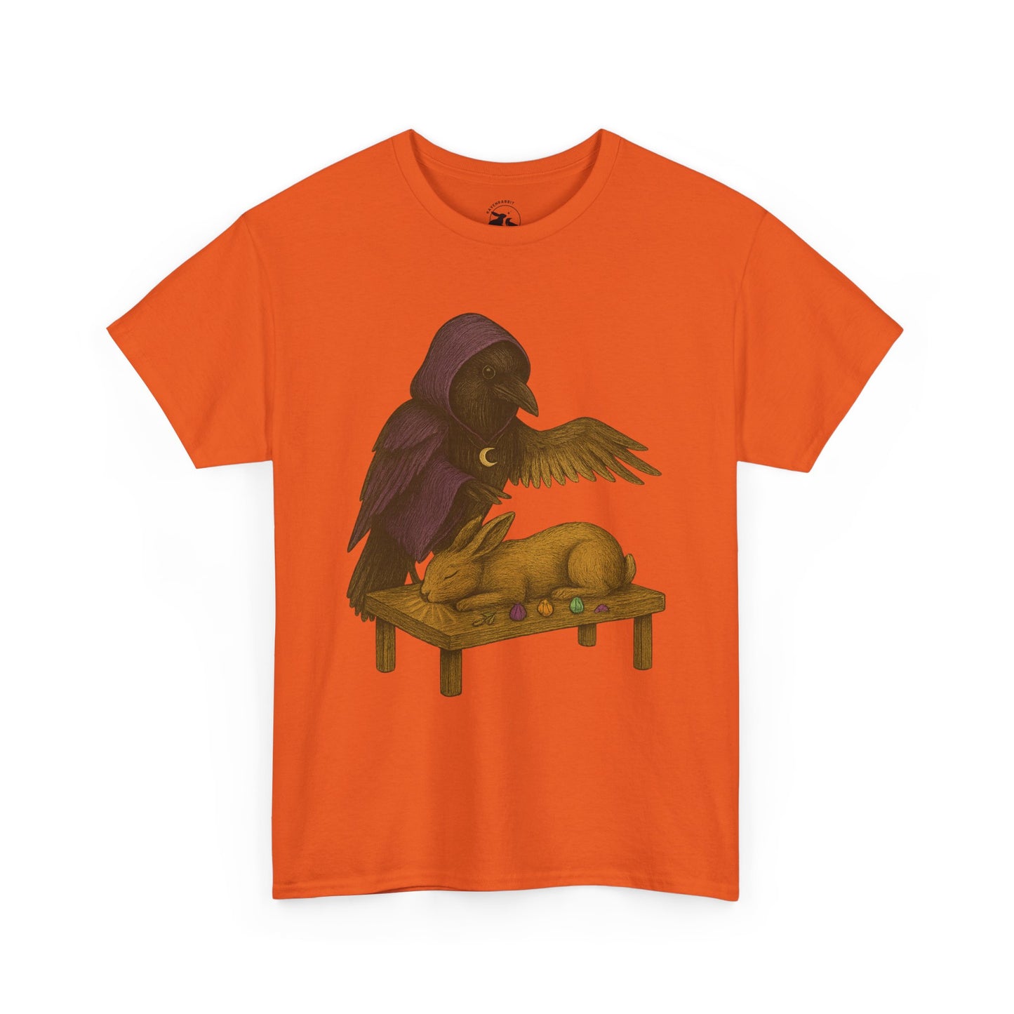 The Raven Reiki Master Tee – Healer of Light and Spirit