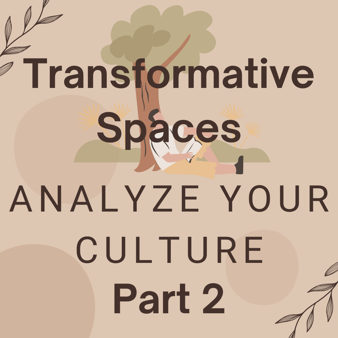 Transformative Spaces Part 2: Analyzing Your Culture